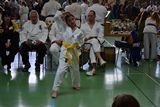 German_Open _Giebelstadt_2014_10.jpg